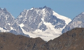 21 Pizzo Bernina...